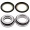 Steering bearing and seal kit All Balls Racing