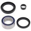 Wheel bearing and seal kit All Balls Racing WB25-1003