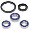 Wheel bearing and seal kit All Balls Racing WB25-1064