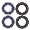 Wheel bearing and seal kit All Balls Racing WB25-1070