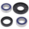 Wheel bearing and seal kit All Balls Racing WB25-1075