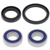 Wheel bearing and seal kit All Balls Racing WB25-1076