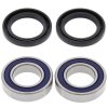 Wheel bearing and seal kit All Balls Racing WB25-1079