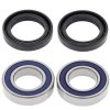 Wheel bearing and seal kit All Balls Racing WB25-1081