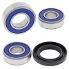 Wheel bearing and seal kit All Balls Racing WB25-1085