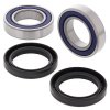 Wheel bearing and seal kit All Balls Racing WB25-1124