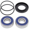 Wheel bearing and seal kit All Balls Racing WB25-1129