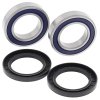 Wheel bearing and seal kit All Balls Racing WB25-1131