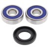 Wheel bearing and seal kit All Balls Racing WB25-1159