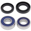 Wheel bearing and seal kit All Balls Racing WB25-1160