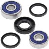 Wheel bearing and seal kit All Balls Racing WB25-1179