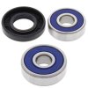 Wheel bearing and seal kit All Balls Racing WB25-1183