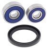 Wheel bearing and seal kit All Balls Racing WB25-1184