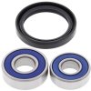 Wheel bearing and seal kit All Balls Racing WB25-1195