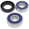 Wheel bearing and seal kit All Balls Racing WB25-1200