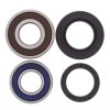 Wheel bearing and seal kit All Balls Racing WB25-1203