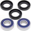 Wheel bearing and seal kit All Balls Racing WB25-1211