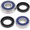 Wheel bearing and seal kit All Balls Racing WB25-1214