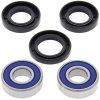 Wheel bearing and seal kit All Balls Racing WB25-1215