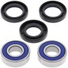 Wheel bearing and seal kit All Balls Racing WB25-1219