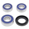 Wheel bearing and seal kit All Balls Racing WB25-1231