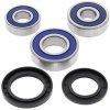 Wheel bearing and seal kit All Balls Racing WB25-1234