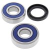 Wheel bearing and seal kit All Balls Racing WB25-1237