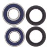 Wheel bearing and seal kit All Balls Racing WB25-1241