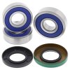 Wheel bearing and seal kit All Balls Racing WB25-1264