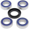 Wheel bearing and seal kit All Balls Racing WB25-1267