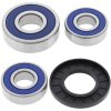 Wheel bearing and seal kit All Balls Racing WB25-1270