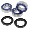 Wheel bearing and seal kit All Balls Racing WB25-1277