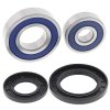 Wheel bearing and seal kit All Balls Racing WB25-1282