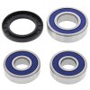 Wheel bearing and seal kit All Balls Racing WB25-1287