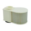 Air filter MIW Y4243 (alt. HFA4908)