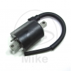 Ignition coil TOURMAX 12 V