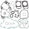 Complete Gasket Kit with Oil Seals WINDEROSA