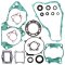 Complete Gasket Kit with Oil Seals WINDEROSA