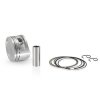 Piston kit Evok 100091000